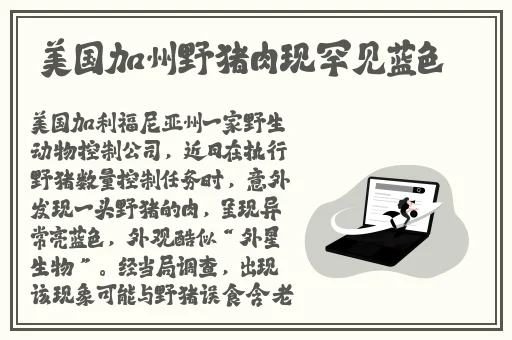 我要玩游戏机
