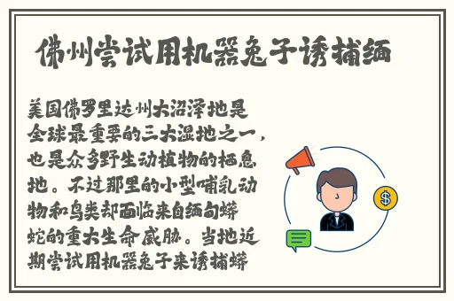 男人插曲女人胸视频